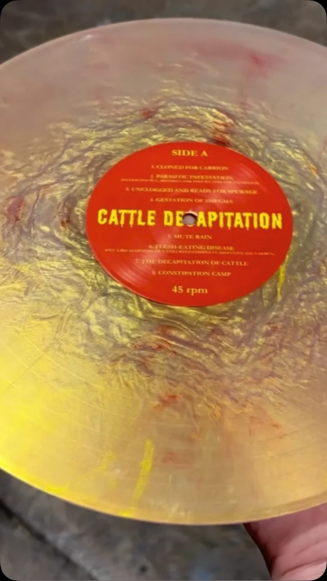 Loving this new custom mixed Golden Gore color that we pressed for the new limited edition pressing of Cattle Decap’s ‘Human Jerky’ LP! Check out this motion picture of the LP in all its bloodclot, scab-ridden, guts & sinewy glory!! 

@cattledecapitation @threeoneg #diyvinyl #diyvinylpressing #colorvinyl #colorvinylrecords #pressedwithLOVEinChicago #madeinUSA #pressedinUSA #chicagopressingplant #vinylcommunity #instavinyl #cattledecapitation #threeonegrecords
